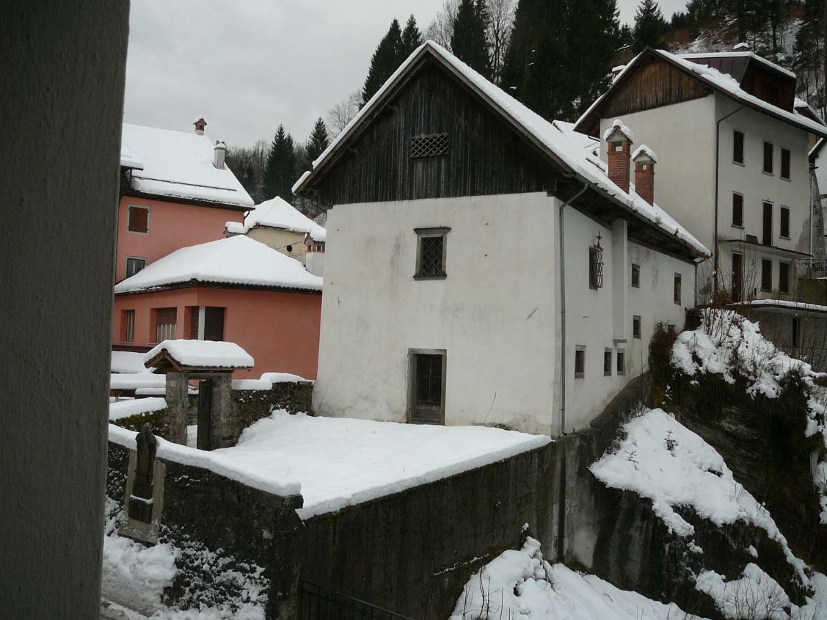 Casa Screm - Appartamenti E Camere -Rigolato - Ud Exterior foto